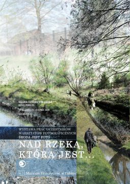 kolaż zdjęć przedstawiających naturę